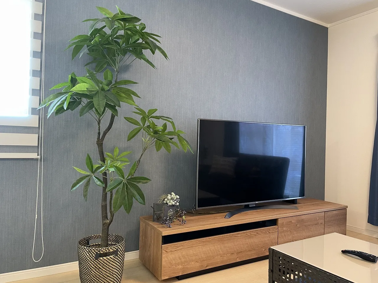 電化製品（テレビ・観葉植物）